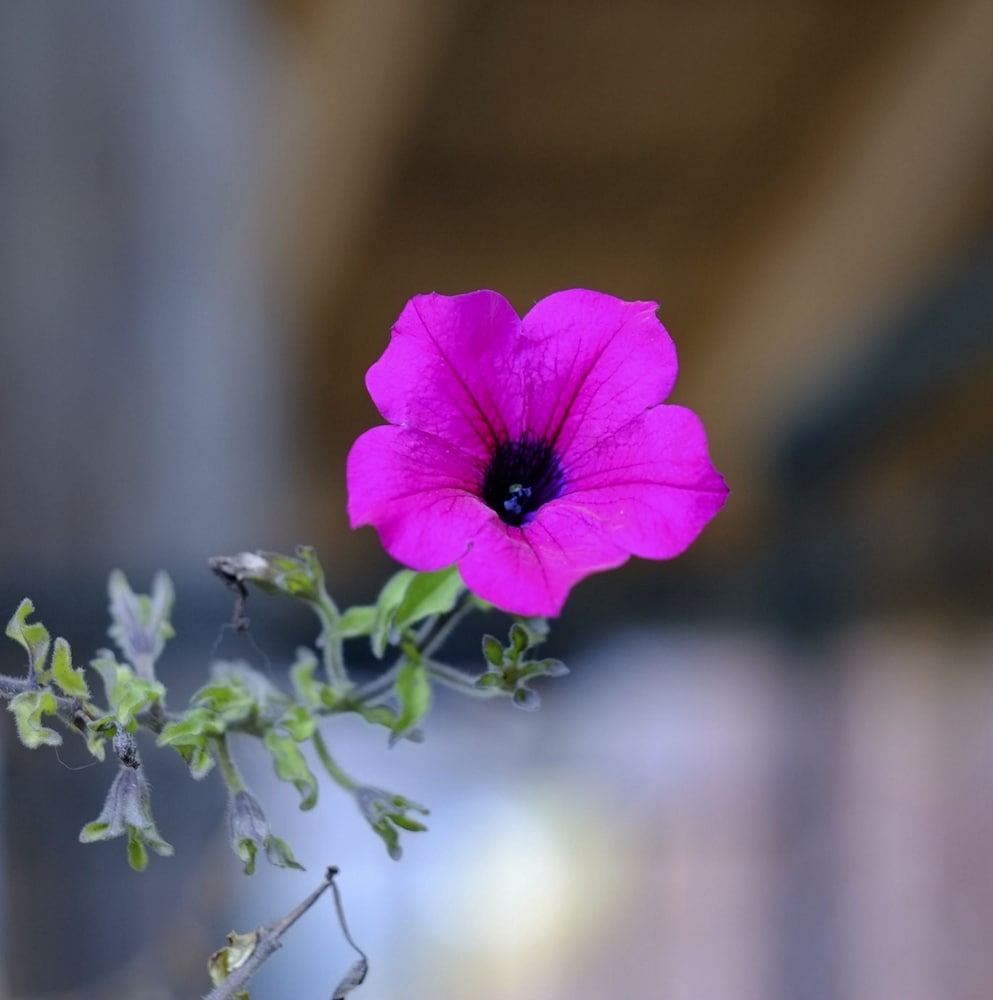 agriturismo al marnich