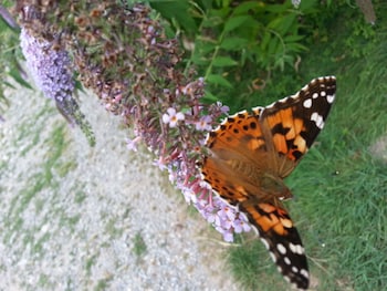 agriturismo al marnich
