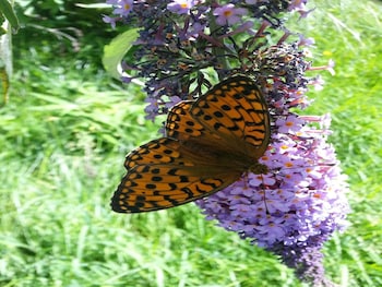 agriturismo al marnich