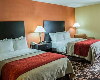 Comfort Inn University Durham - Chapel Hill,Durham>>Chapel Hill,3 star