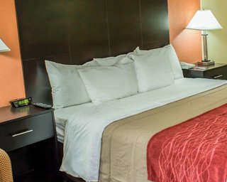 Comfort Inn University Durham - Chapel Hill,Durham>>Chapel Hill,3 star