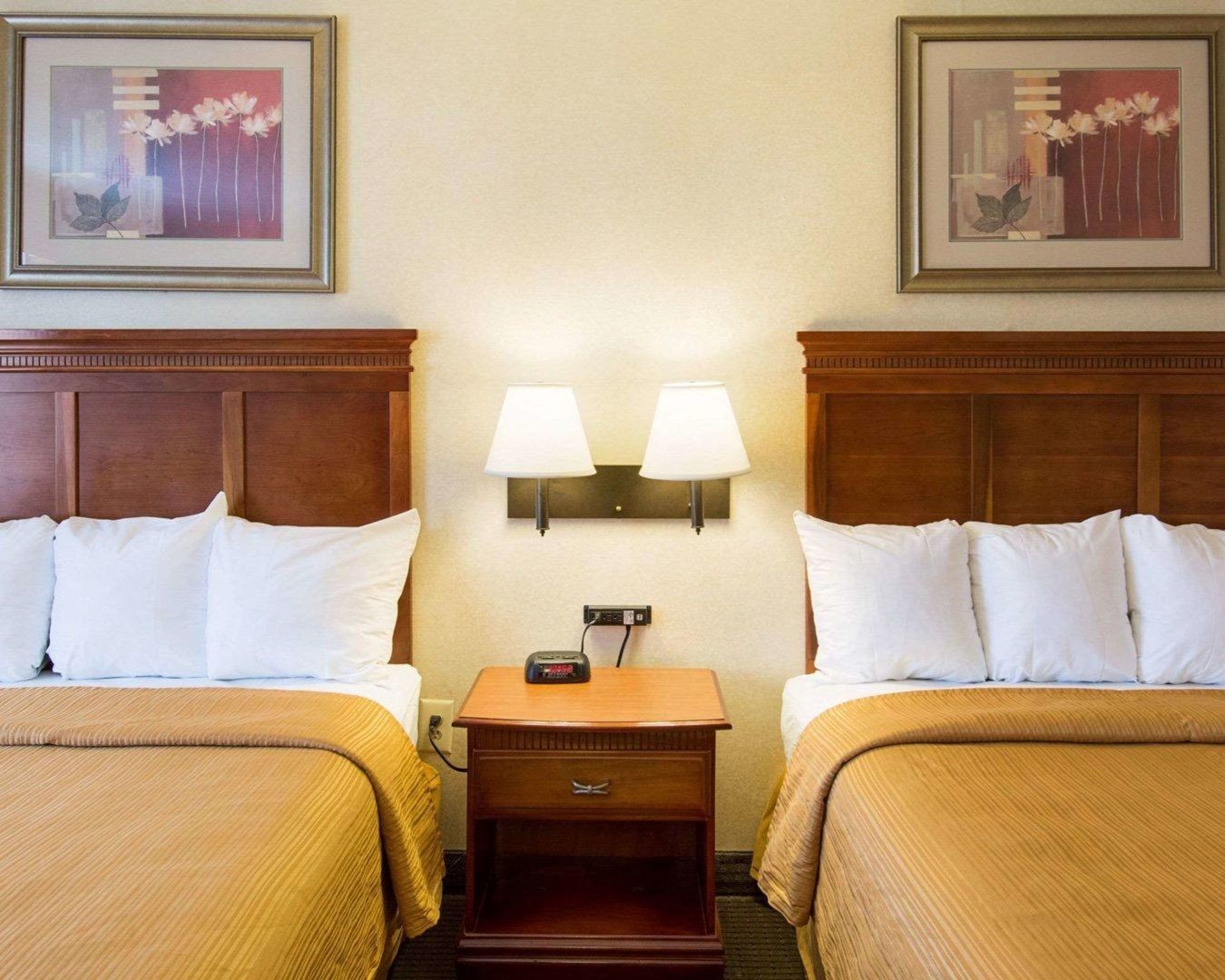 quality inn takoma park