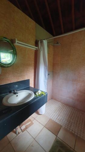 coralview island resort