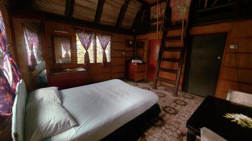 coralview island resort