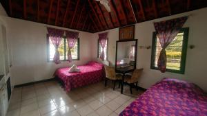 coralview island resort