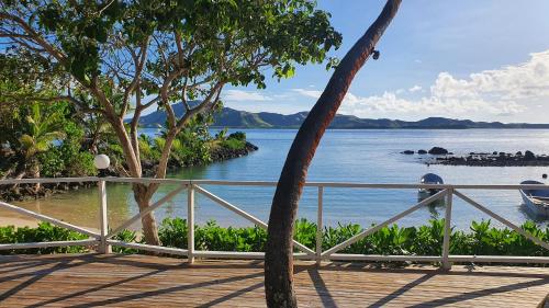 coralview island resort
