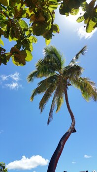 coralview island resort