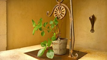 antichi feudi dimora depoca