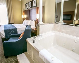 Comfort Suites Houston Nw - Vintage Park,Louetta>>Downtown Houston,3 star