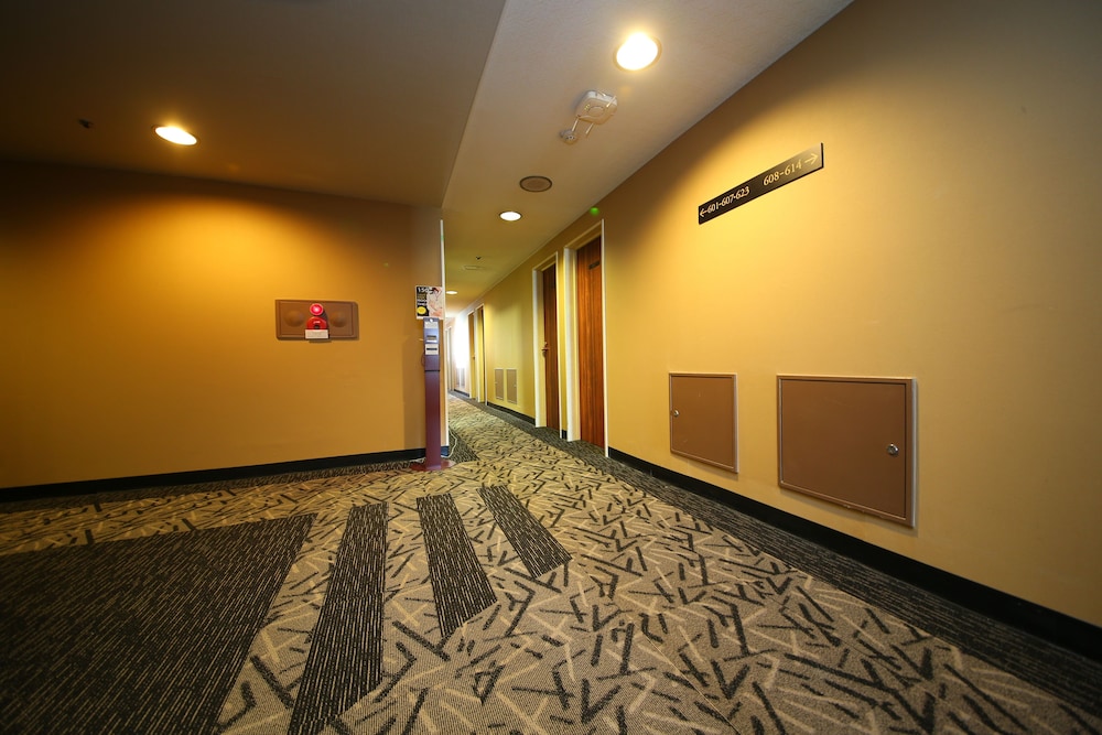 apa hotel tokyo kiba