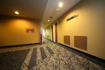 apa hotel tokyo kiba