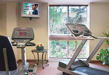 sheraton toronto airport hotel and conference centre