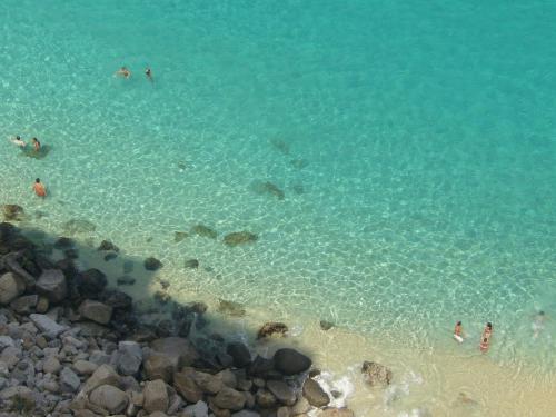 tropea