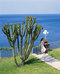 hotel continental mare