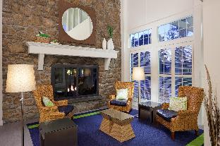 iris hotel cape cod