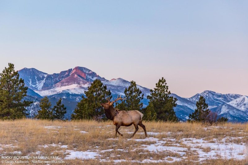 rocky mountain hotel and conference center adults only