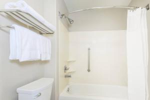 springhill suites by marriott houston brookhollow