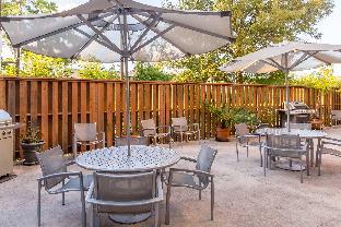 springhill suites by marriott houston brookhollow