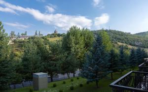 Tsaghkadzor Marriott Hotel,Yerevan>>Tsaghkadzor,5 star