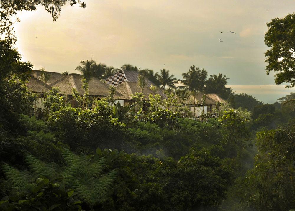 Luwak Ubud Villas,Ubud>>Bali,4 star