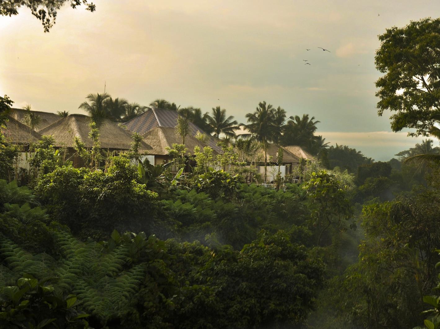 Luwak Ubud Villas,Ubud>>Bali,4 star