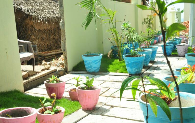 palm tree heritage beach resort