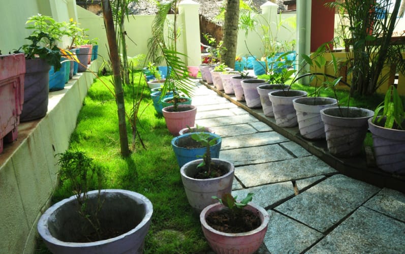 palm tree heritage beach resort