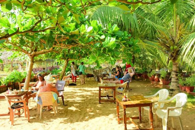 palm tree heritage beach resort