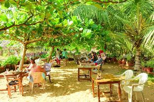 Palm Tree Heritage Beach Resort,Varkala Beach,3 star