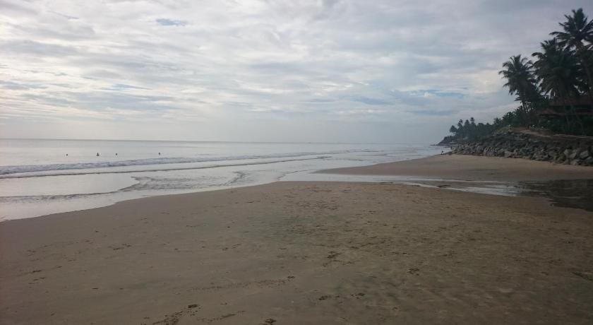 palm tree heritage beach resort