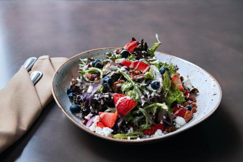 houston marriott medical center museum district