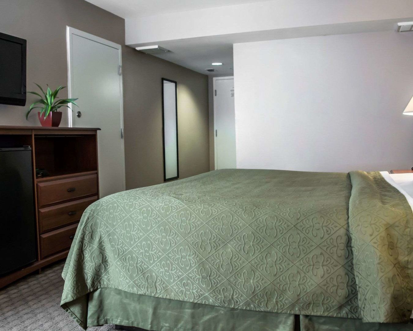 quality inn and suites tampa ybor city