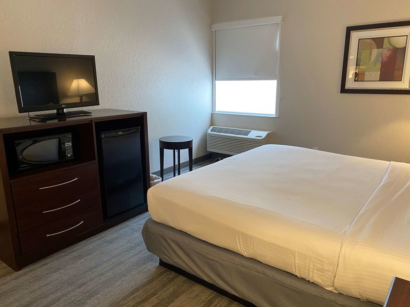best western tampa
