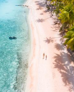Le Tikehau By Pearl Resorts,Tuherahera>>Tikehau,4 star