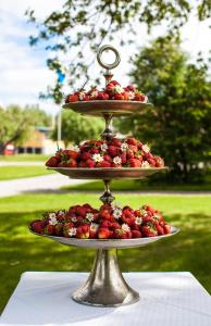 bjurfors hotell and konferens