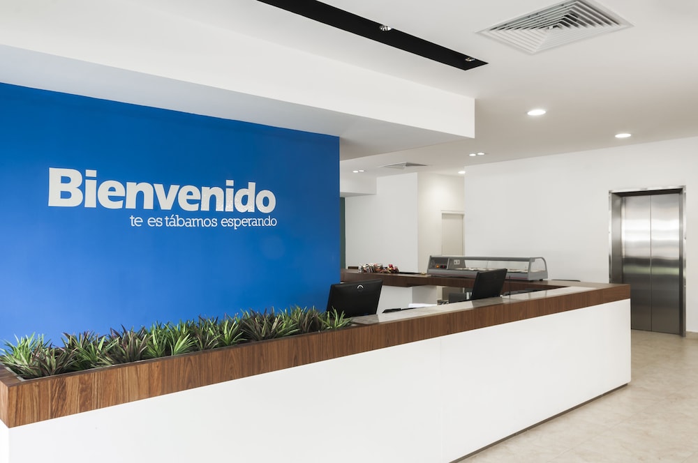 one xalapa las animas