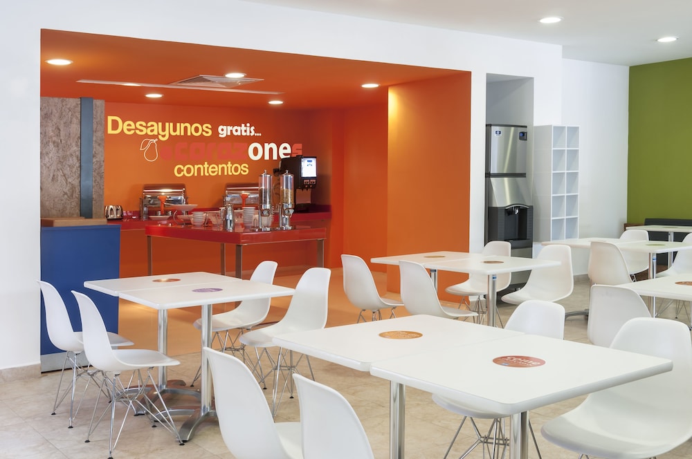 one xalapa las animas