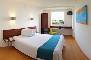 one xalapa las animas