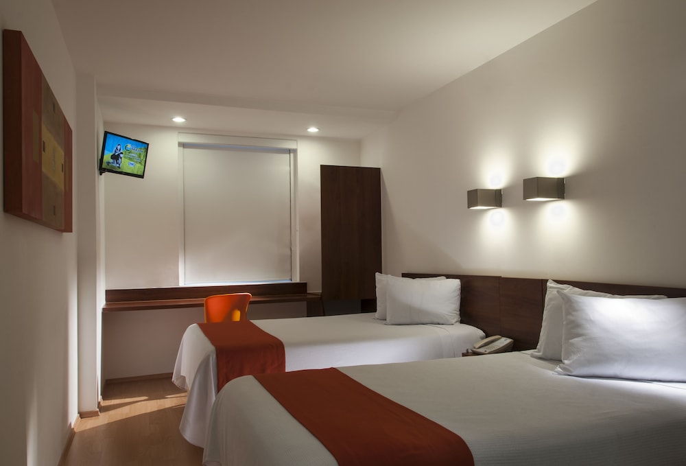 one xalapa las animas