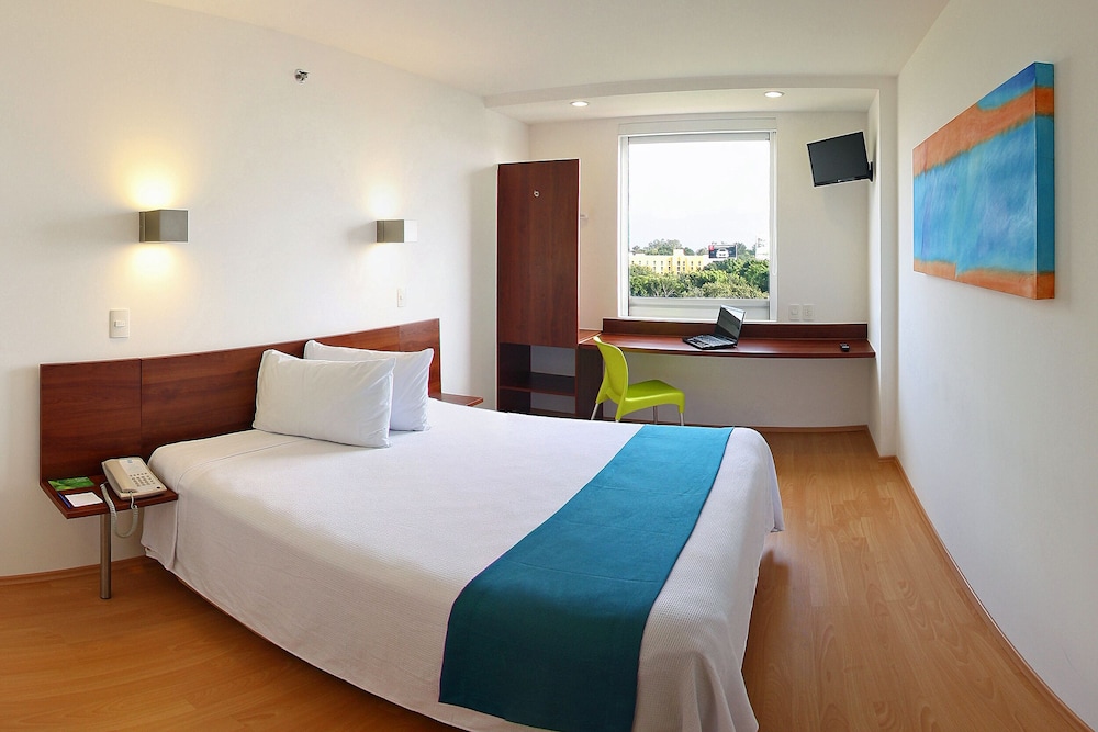 one xalapa las animas