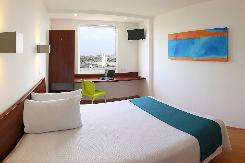 one xalapa las animas