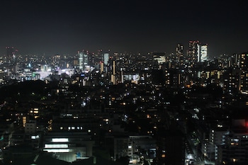 shinagawa prince hotel east tower