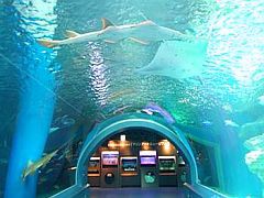 shinagawa prince hotel east tower