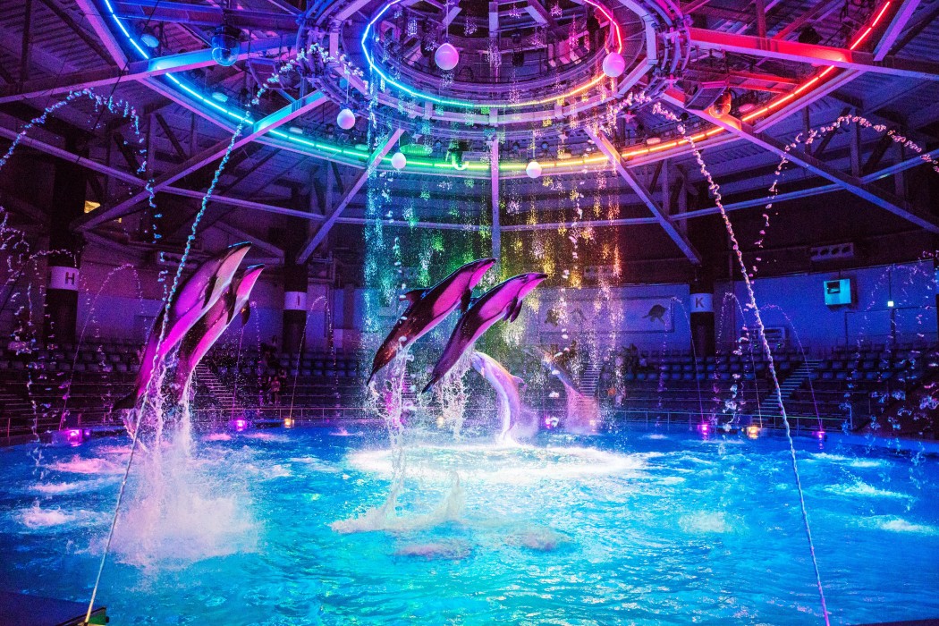 shinagawa prince hotel east tower