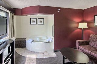 blossom hotel and suites traverse city
