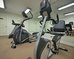 americas best value inn kingsville