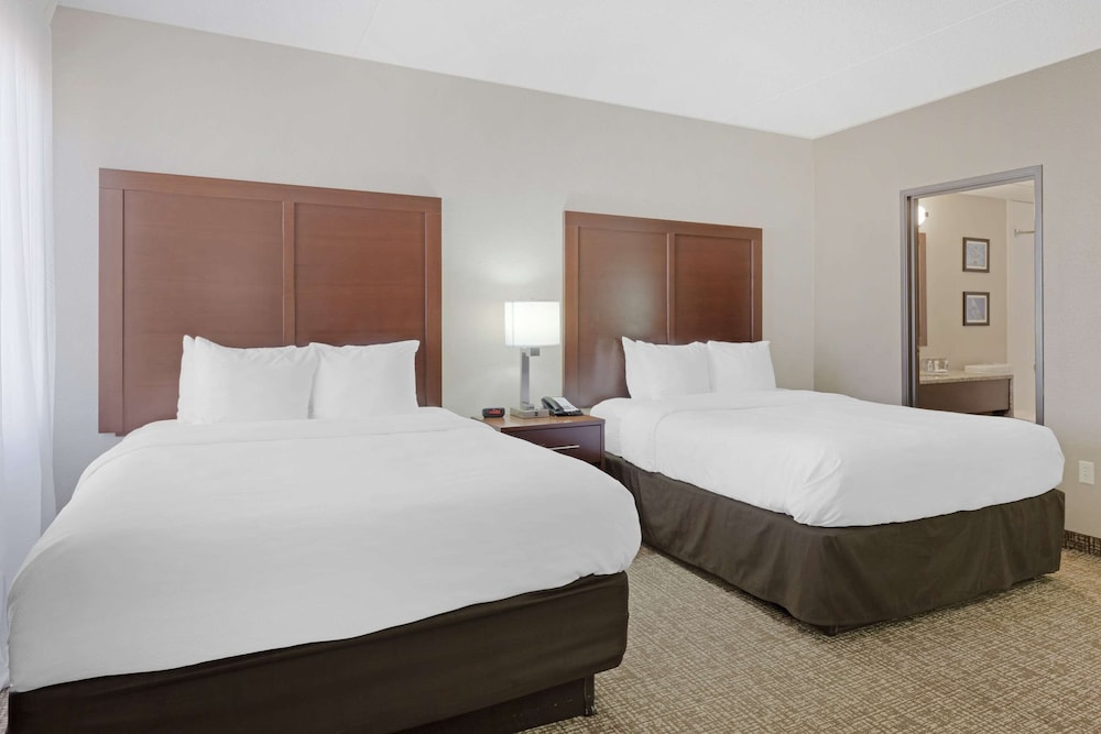 comfort inn and suites