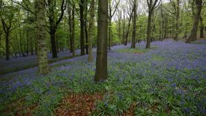 hostellerie kemmelberg