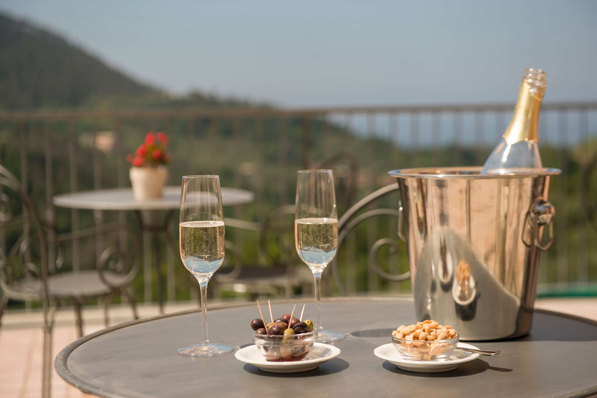 hotel al terra di mare