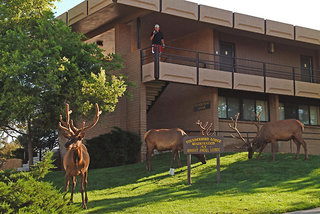 Kachina Lodge - Inside The Park,Grand Canyon>>Coconino County,3 star